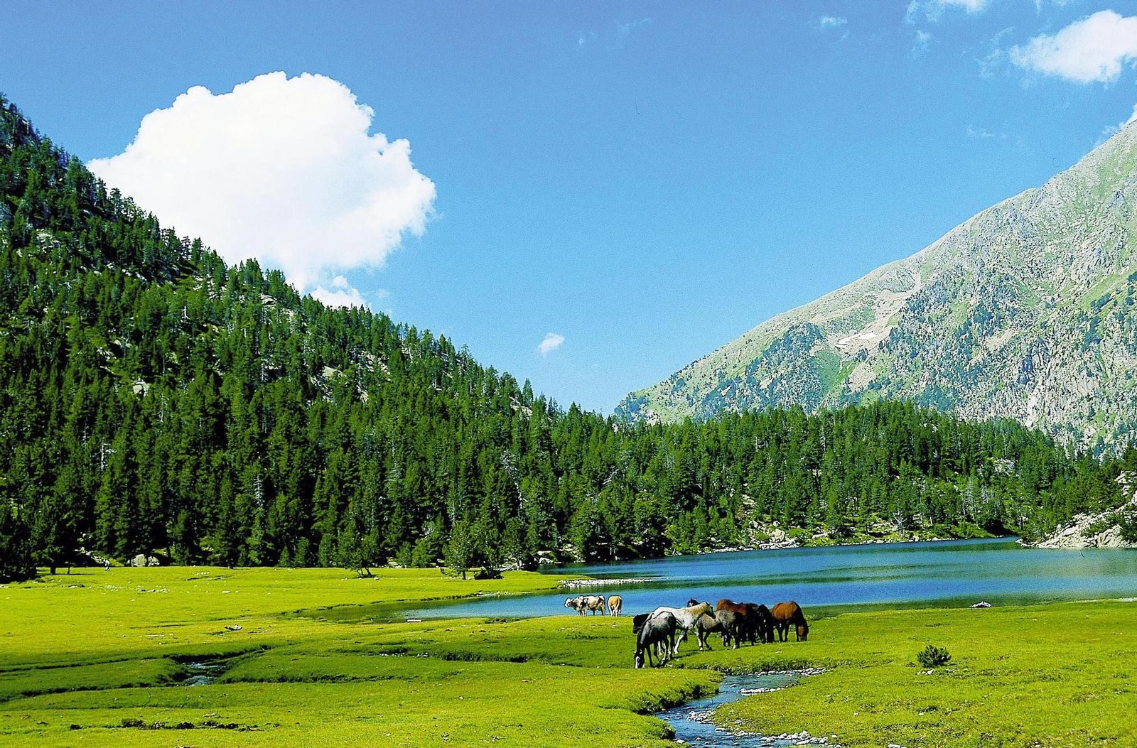 Piau-Engaly: estación de esquí y montaña en los Pirineos franceses a 1.850 metros